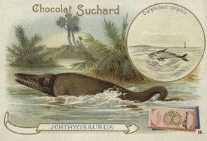 Ichthyosaur og vanlig delfin av European School