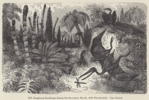 Imaginært landskap under den sekundære epoken, med Pterodactyls, Lias-perioden (gravering) av European School