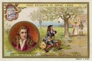 Isaac Newton , engelsk fysiker og matematiker av European School