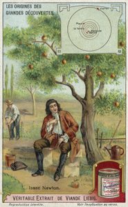 Isaac Newton og tyngdekraften av European School