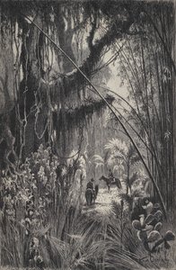 Jungel i Cordillera of Salta, nordvest i Argentina (litho) av European School