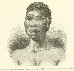Hottentot Venus, fra rollebesetningen til Museum of Natural History i Paris (gravering) av European School