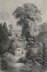 The Paradise Of Quetzalcoatl (gravering) av European School