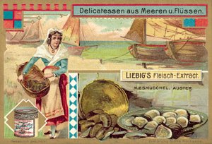 Blåskjell og østers (chromolitho) av European School