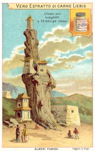 Gammelt tre med templer på i Kina (chromolitho) av European School