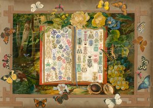 Side fra Sammelsurium bind VIII (trykt materiale) av European School