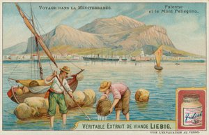 Palermo og Pellegrino-fjellet av European School