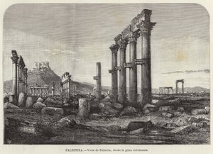 Palestina, utsikt over Palmyra, fra den store søylegangen av European School