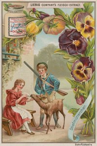 Stemorsblomst av European School