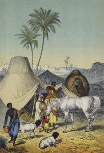 Mennesker, dyr og planter i Nord-Afrika og Arabia (farge litho) av European School