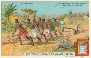 Plog, Liebig-kort, tidlig på 1900-tallet (kromo) av European School