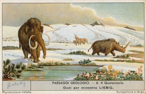 Forhistorisk verden, Liebig-kort, tidlig på 1900-tallet (kromo) av European School