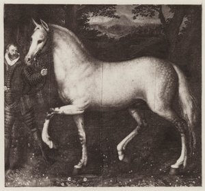 Dronning Elizabeths hest (litho) av European School