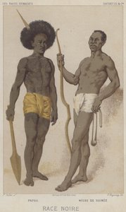 Black Race, Papuan, Black fra Guinea (chromolitho) av European School