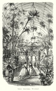 The Floral World (gravering) av European School