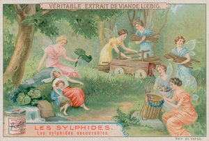 De hjelpsomme sylfene av European School