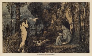 The Tale of the Swan Virgin (farge litho) av European School