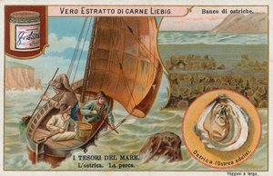 Havets skatter, Liebig-kort, tidlig på 1900-tallet (kromo) av European School
