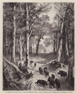 Villsvin på Lorenzer Berg i Imperial Park i Wien, Østerrike (gravering) av European School