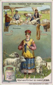 Ull: sau av European School