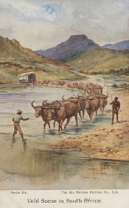 Bønder som driver storfe, Sør-Afrika (farge litho)