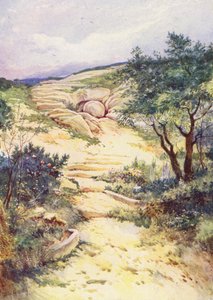  av Evelyn Stuart Hardy