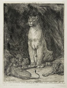 Løvinne sittende og tre unger, 1888 av Evert van Muyden