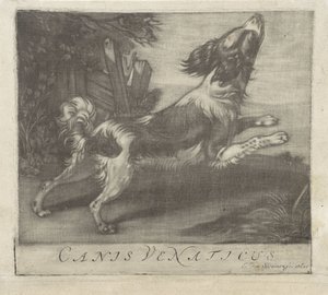 hoppende hund Canis Venaticus (tittel på objekt) av Evert van Sweinen