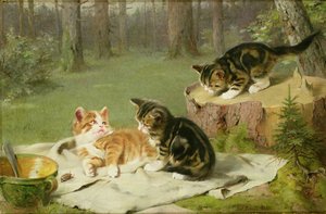 Kattunger som leker