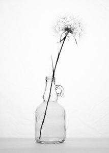  av Eyal Amer