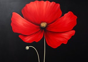  av F. Abderrahim