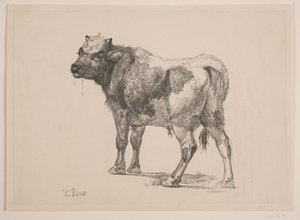 Stående oksekalv av F. Hendriksen