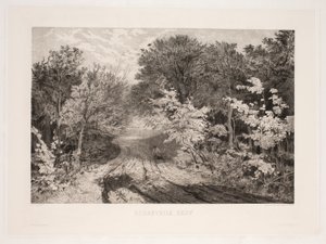 Borrevejle Skog av F. Larsen