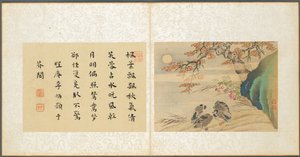 Album med diverse emner, blad 8, 1600-tallet.