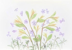 Svevende botaniske pasteller av Fangping Zhou