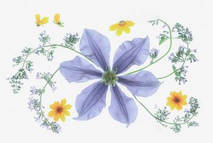Frisk blomsterkomposisjon