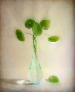 Glassvase med runde blader av Fangping Zhou