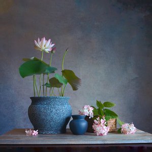 Fredfylt stilleben med lotus av Fangping Zhou