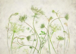 Myke grønne botaniske motiver av Fangping Zhou