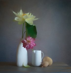 Mykt lotus-stilleben av Fangping Zhou