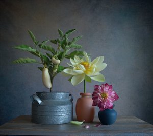 Stilleben med hvite auberginer og dahlia av Fangping Zhou
