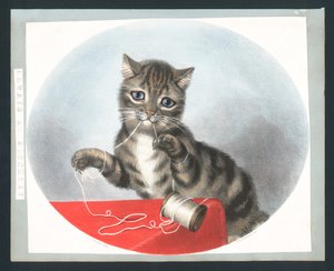 Always at Mischief - viktoriansk gratulasjonskort (chromolitho) av Fanny Corbaux