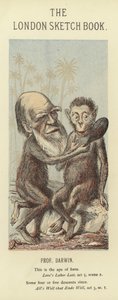 Karikatur av Charles Darwin