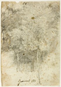 Grove of Trees av Federico Barocci