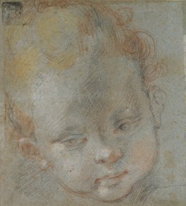 Head of a Child, sent på 1500-tallet av Federico Barocci