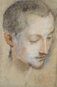 Studie av en ung manns hode, sent på 1500-tallet av Federico Barocci