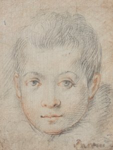 Hodet til en gutt av Federico Zuccaro