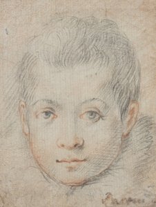  av Federico Zuccaro
