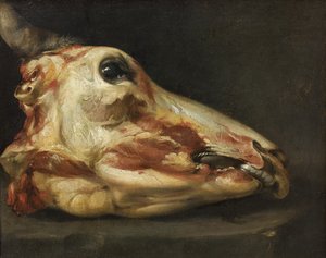 Avhudet hode av en okse av Felice Boselli
