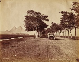 Kairo. Alley of Pyramids